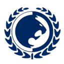 Igor Gracie Jiu Jitsu