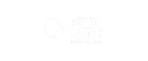 Renzo Gracie Wall Street